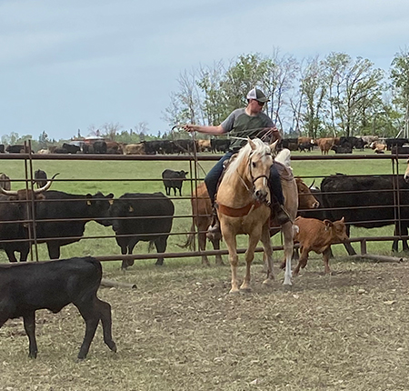 /Weekly%20pasture%20checks